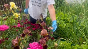 Вспоминаем лето.