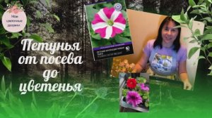 Петуния от посева до цветения !