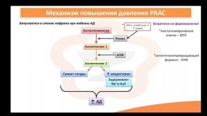 Лекция 3.5 Гипертоническая болезнь