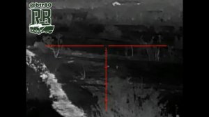 Подборка работы наших снайперов по хрякам..mp4