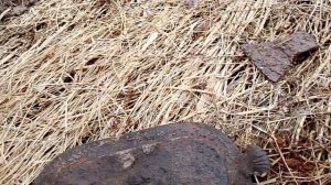 сапутка по войне при копе металла – коп по войне.