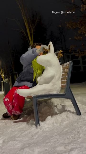 VID_20260111_150215_742.mp4