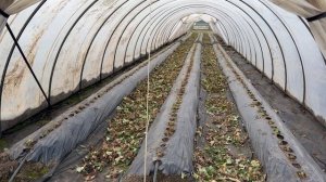 Подготовка