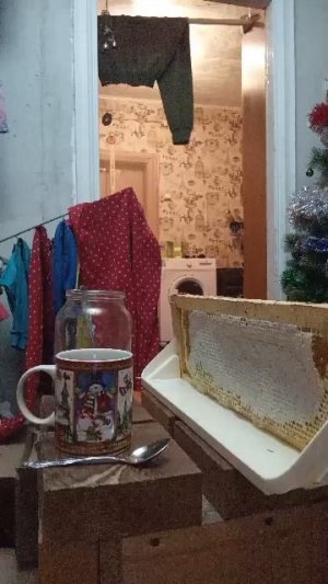 мой ЭКО мёд