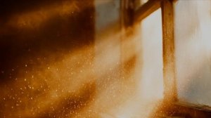 Я прилечу волшебной птицей