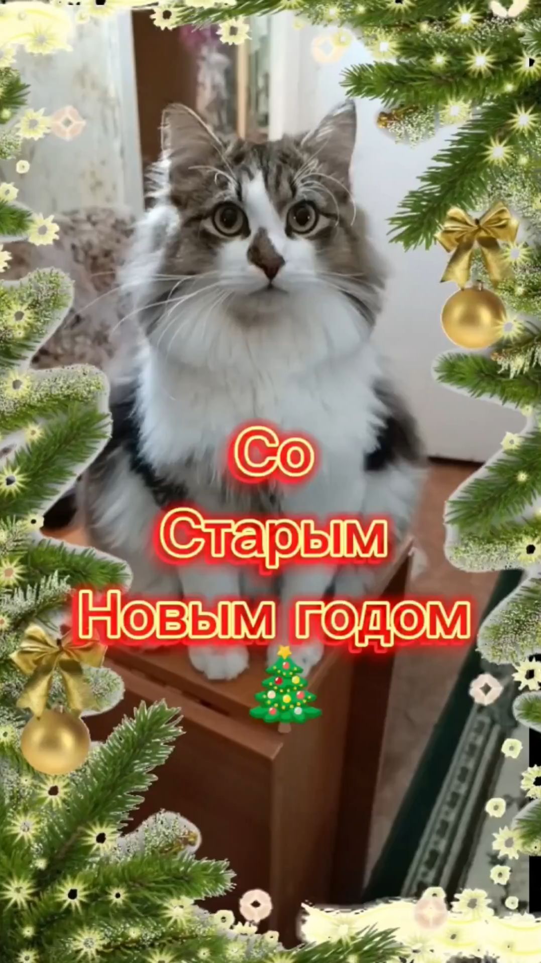 Со Старым новым годом 🎄 смотреть онлайн