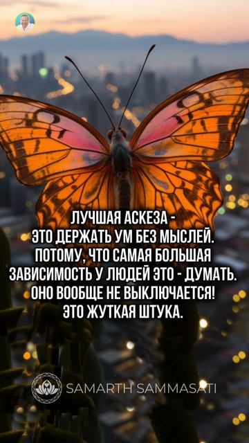 АСКЕЗА УМА: САМАЯ СЛОЖНАЯ И САМАЯ ВАЖНАЯ ⚡ Самарт Саммасати смотреть онлайн