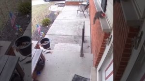 VID_20260111_080538_750.mp4