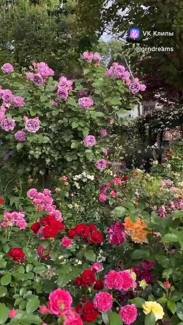 🐞🌿🏡сад смотреть онлайн