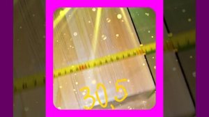 1000045658.mp4 (Собака наблюдает за устройством лестницы на 2 этаж в доме А-фрейм)