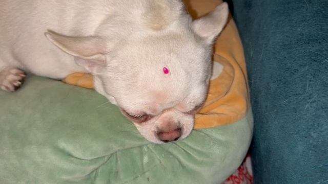 Хорошего всем праздника и самой спокойной ночи.