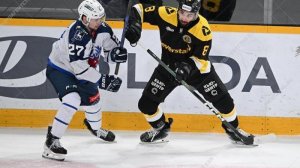 Северсталь - Торпедо. Голы Торпедо.