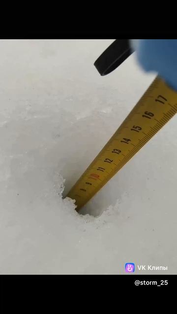 Мои самые первые видео январь 2025 смотреть онлайн