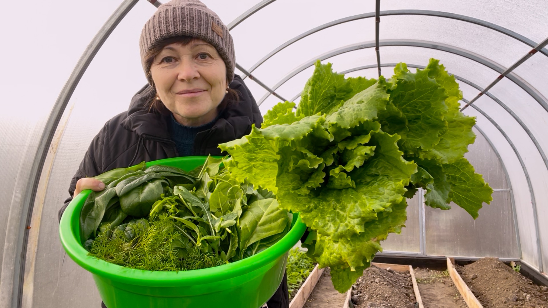 Моя витаминная бомба: теплица зимой | И пчелы летают, и зелень едим | Январь на юге смотреть онлайн