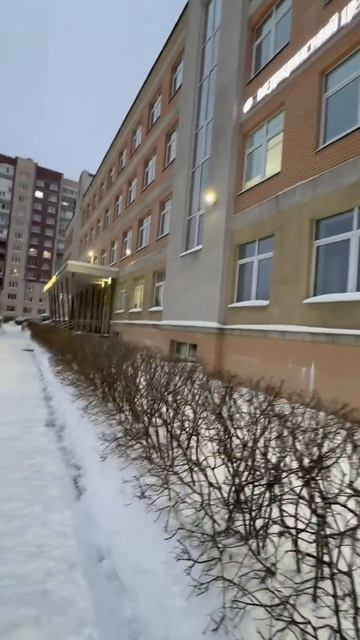 яндекс доставка. меня выписали после дтп яндекс доставка авария дтп курьер еда новости жизнь