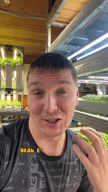 Домашняя лучше смотреть онлайн