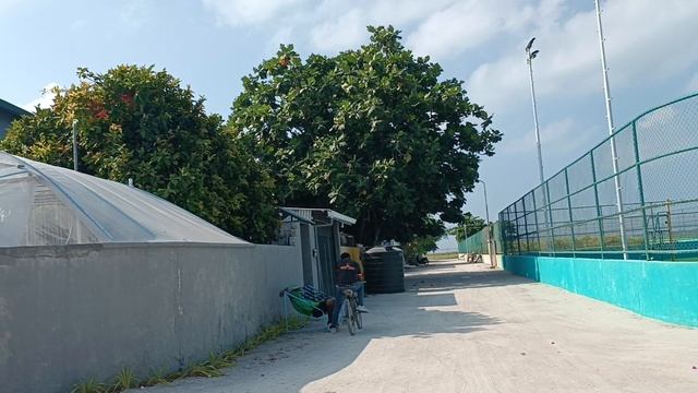 Остров Дараванду, Мальдивы, январь 2026 (Dharavandhoo, Maldives, January 2026)