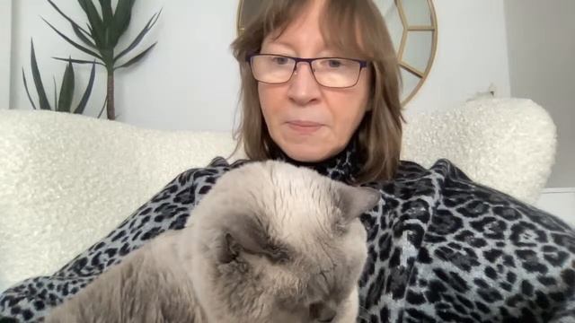 Анжелика Снежинская. Трансляция от 10 января 2026 смотреть онлайн