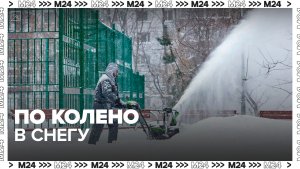 Высота снежного покрова в Москве достигла почти 40 см 10 января