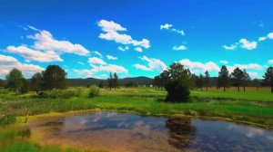 НЕЖНЫЕ МЕЛОДИИ, ВЕДУЩИЕ К СПОКОЙНОМУ И ГЛУБОКОМУ СНУ