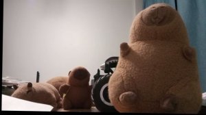 Дискотека капибар XStep с (капибарами)