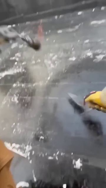 Устраняем утечки на плоской крыше