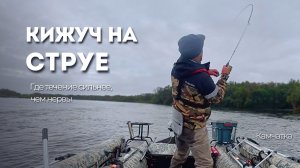 Кижуч на струе. Где течение сильнее, чем нервы