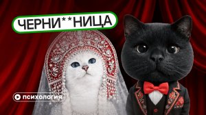 Почему осуждают межрасовые браки: страх вырождения и чужаков