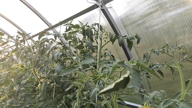 39-ДАЧА .Отпуск.1 часть(14.07.-18.07.21.) смотреть онлайн