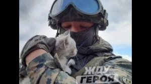 "Дни и ночи... " стихи Н Денисенко (Смоляк) /нейросеть Suno Al... 🙏🙏🙏