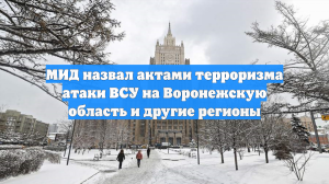 МИД назвал актами терроризма атаки ВСУ на Воронежскую область и другие регионы