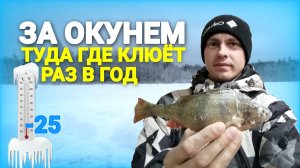 На рыбалку в мороз за окунем. Озеро где клюёт раз в год