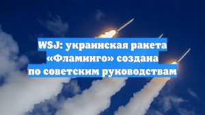 WSJ: украинская ракета «Фламинго» создана по советским руководствам