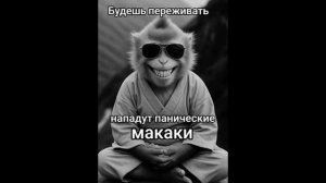 Разговоры с коллекторами 108