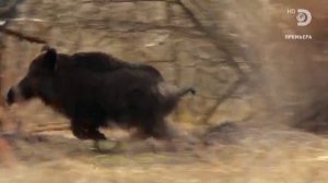 Голые и напуганные 12 сезон 10 серия (реалити-шоу, 2020)