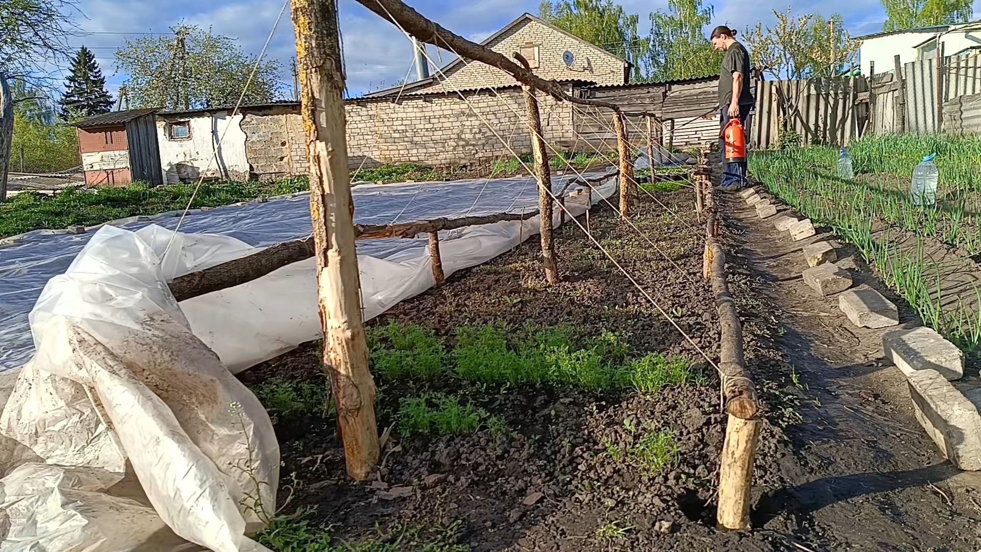 Весна. Все цветет. Снег. Моя мини теплица. Как посадить малину смотреть онлайн