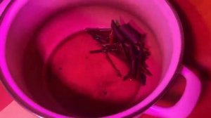 Энзимы. Симбионты жизни. Окончание.