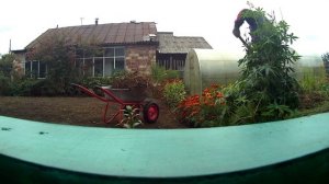 КУПИЛИ ТАЧКУ. РАБОТА В ОГОРОДЕ.