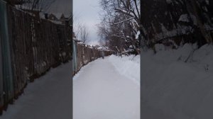 Эфир на коньках со Светланой БЕЛОРЕЧАНКОЙ