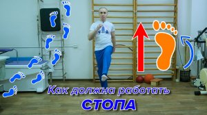 Стопа. Как Всё Это работает.(начало)