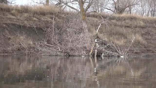 АВАНТЮРА ВЕКА! ТАКОЕ ВПЕРВЫЕ В ЖИЗНИ! Зимняя рыбалка 2025.