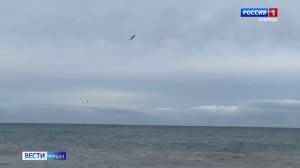 В некоторых районах Крыма бушует ураганный ветер