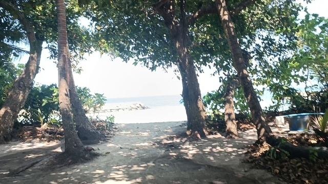 Туристический пляж, Дараванду, Мальдивы, январь 2026 (Bikini Beach, Dharavandhoo, Maldives, Jan'26)