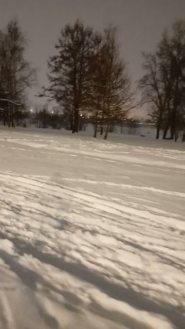 Катаюсь на лыжах, Петербург. 10 января 2026.