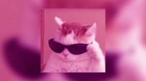 ☆плейлист НЕ популярных песен из тик тока 2026 года☆