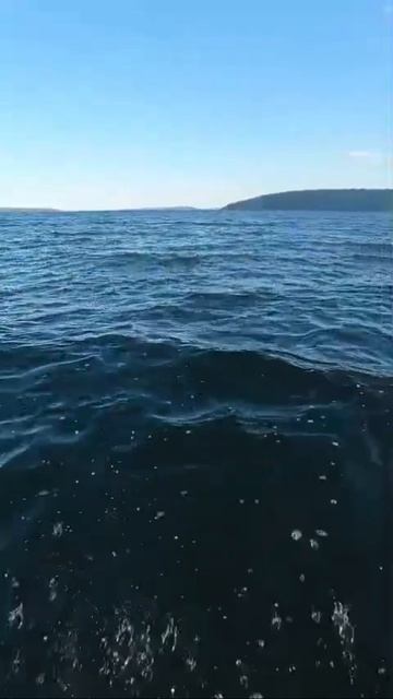 лодка Пелла, на испытаниях после ремонта 1