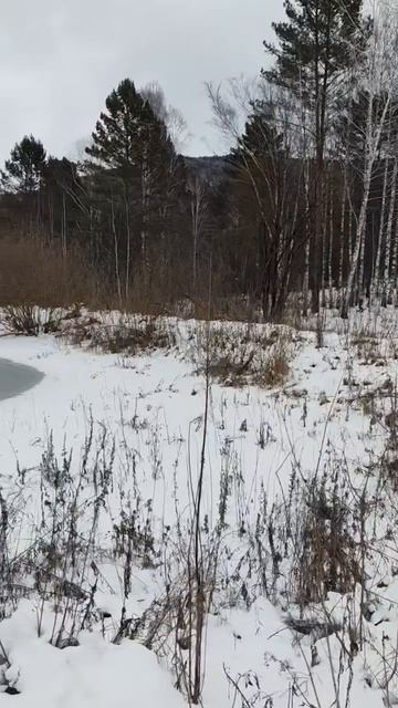 Шнейне Пэпэ фафа смотреть онлайн