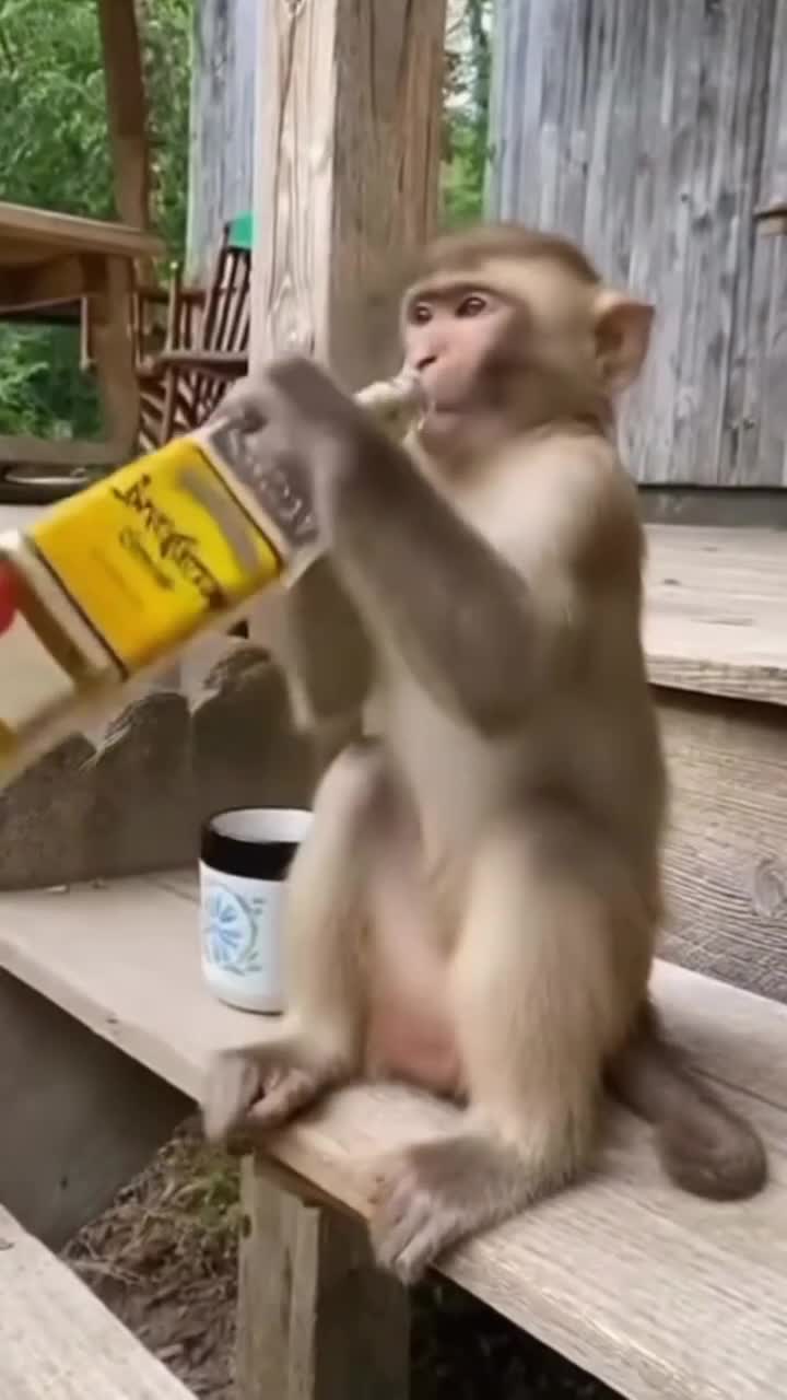 На доcуге 😂😂 смотреть онлайн