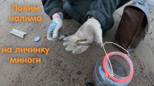 Ловля налима на донки. На что ловить налима - на личинку миноги. Грудинка с булочкой на костре