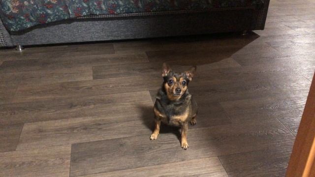 Кинула прямо в цель смотреть онлайн